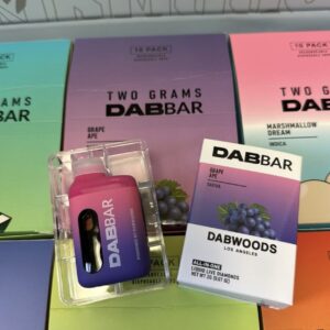 Dabwoods Dabbar 2G Disposable